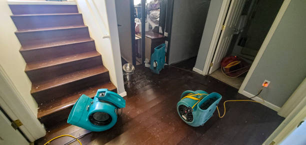 Best Carpet water damage restoration  in Lochsloy, WA