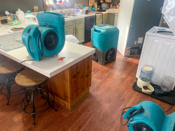 Best Water damage contractors near me  in Lochsloy, WA
