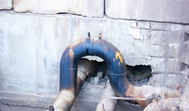 Best Mold removal after water damage  in Lochsloy, WA