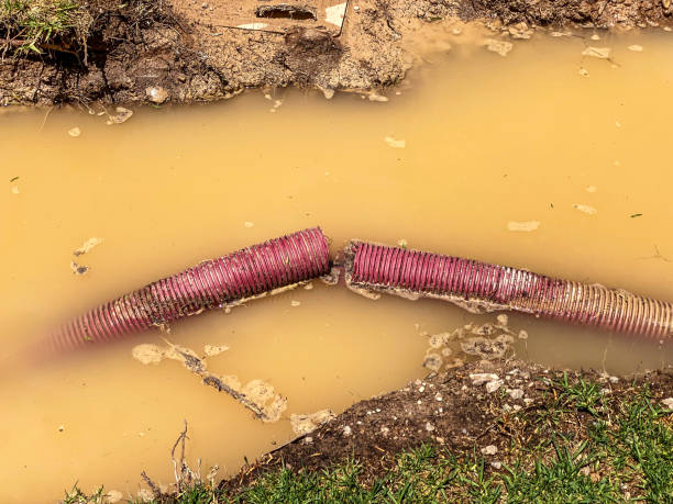  Lochsloy, WA Water damage restoration Pros